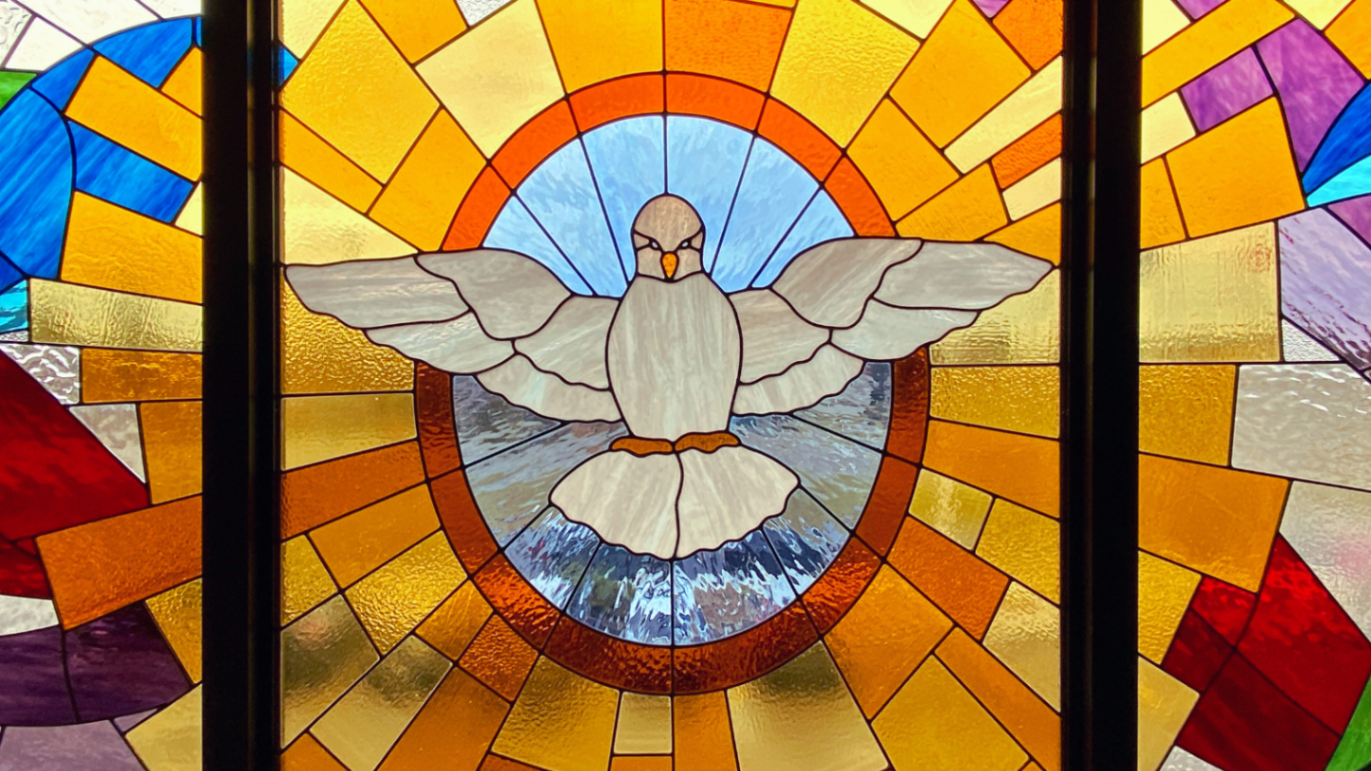 Peace Dove